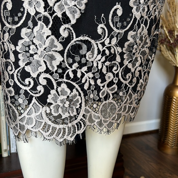 Erin Featherson Lace V Neck Cocktail Dress - Picture 4 of 15